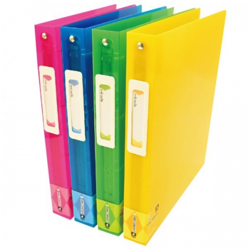 Spine Label Ring Binder 2